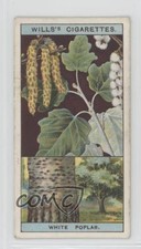 1924 Wills Flowering Trees & Shrubs Tobacco Abele or White Poplar #1 0kb5