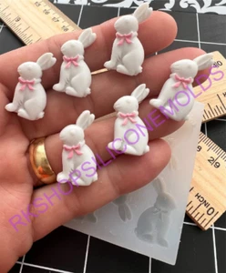Bunny-Rabbit silicone mold for Easter-Fondant-Resin-handcrafts-polymer clay-wax - Picture 1 of 8