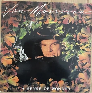 Van Morrison, A Sense of Wonder, Vinyl Record album - Picture 1 of 6