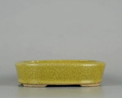 Japanese Bonsai pot KENZAN 権山 signed Yellow Crack glazed Rectangle w4.4" *248 8 - Image 1 of 4