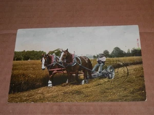 STODDARD WISCONSIN - 1907-1915 ERA POSTCARD - TWO-HORSE TEAM WORKING in FIELD - Imagen 1 de 2