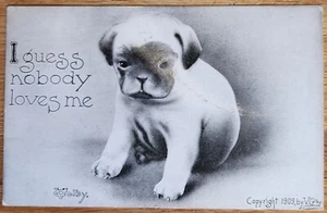 Postal Vincent Colby I Guess Nobody Love Me Sad Puppy Dog PC 1910 - Imagen 1 de 1