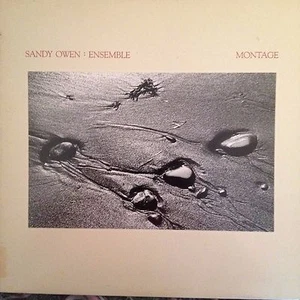 SANDY OWEN ENSEMBLE 'MONTAGE' RARE LP IN LIKE NEW CONDITION IVORY RECORDS 1984 - Picture 1 of 2