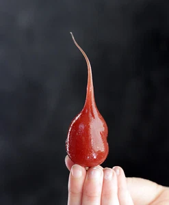 Light Bulbs Set/2 Silicone Dipped Applesauce 4 Watt Candle Tip Primitive Decor - Picture 1 of 3