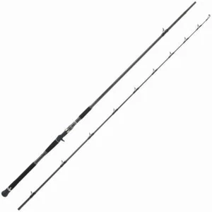 Abu Garcia Shore Jigging Rod Salty Stage PT Shore Jigging XSJC-1002XX120 (Baitca - Picture 1 of 4