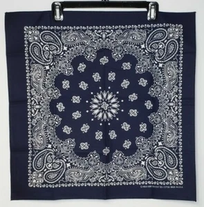 Hav-a-Hank Paisley Bandana Scarf Handkerchief 21x21 Inches Made in USA New - Afbeelding 1 van 5