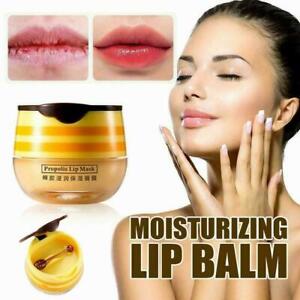 Lip Bee Balm Sleeping Lip Mask Moisturizing Lip Balms   Nourishing