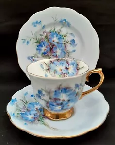 Very Rare Antique Royal Albert Bone China Trio Hand Painted Leschenaultia  - Picture 1 of 4
