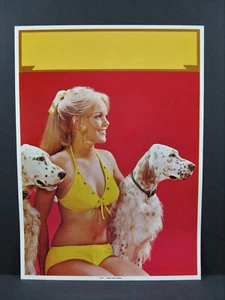 Traje de baño amarillo vintage para niña calendario estampado artístico ""Mejor amigo del hombre"" stock antiguo - Imagen 1 de 1