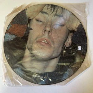 BAUHAUS Interview Situation Lyceum UK 1982 Picture Disc Vinyl Record - Picture 1 of 2