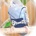  Bird Clothing Accessories Inner Layer Parrot Nappy Clothes Diapers Small