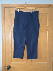 Ellen Tracy pantaloni chino donna piatti davanti alla caviglia blu navy cerniera laterale taglia 10 - Foto 1 di 8