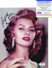 Sophia Loren Legendary Actress Signed Autograph 8X10 Photo Psa/Dna Coa #2