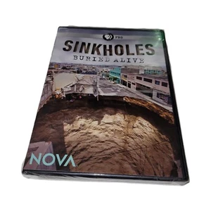 PBS NOVA6299 NOVA SINKHOLES BURIED ALIVE DVD WIDESCREEN LARRY KLEIN TAMPA 2013 - Picture 1 of 3