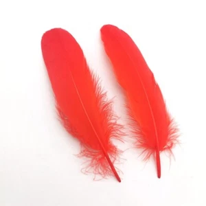 Hat Feathers 7 Pcs Assorted Natural Feather Accessories Goose Fedora Cowboy hat - Picture 1 of 10