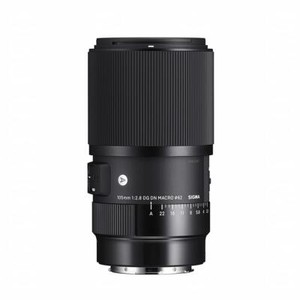 Sigma 105mm f/2.8 DG DN Macro Art Lens for Sony E.  U.S. Authorized Dealer