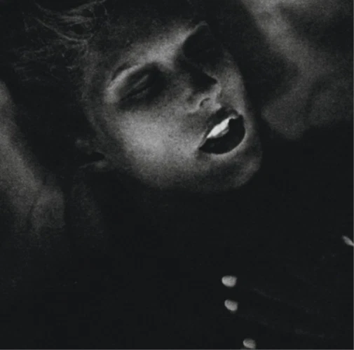 Schnellertoller Meier X (CD) Album - Bild 1 von 1