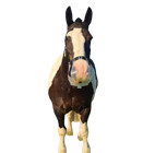 Thinline Flexible Filly Grazing Muzzle- Mini Shetland Pony Horse Draft Horseware