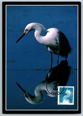 #3830 Snowy Egret FDC Maxi Card - Image 1 of 2