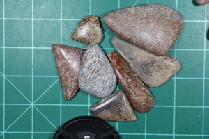 Dinosaur Bone Cabochon Cabochon Mixed Lot, Inventory Clearance Sale. - Picture 1 of 1