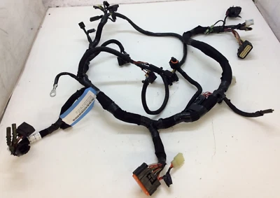 Arnés de cableado principal Polaris usado OEM 2411040 IQ Dragon RMK Switchback 2008-10 Foto 1 de 4