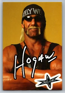 Hollywood Hulk Hogan 1999 Crazy Planet WCW Sticker World Championship Wrestling - Picture 1 of 2