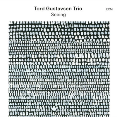 ECM 2820 TORD GUSTAVSEN TRIO SEEING 2024 LP 180g sealed - Bild 1 von 4