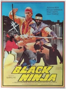BLACK NINJA Affiche Cinéma ROULEE 54 x 40 cm Movie Poster NANAR Arts martiaux - Imagen 1 de 1