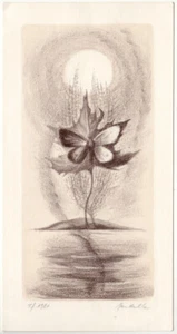 JAN HALLA: Neujahrsgraphik P. F. 1981 - Picture 1 of 1
