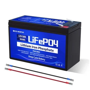 ECO WORTHY 12V 8AH LiFePO4 Battery 4000 Cycles Lithium Deep Cycle Battery with - Picture 1 of 24