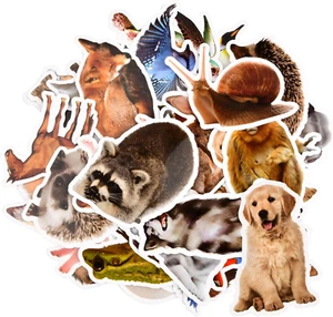 50 Stück Tiere Aufkleber für Kinder, Wasserfeste Sticker für Jungs Mädchen Klein - Bild 1 von 7