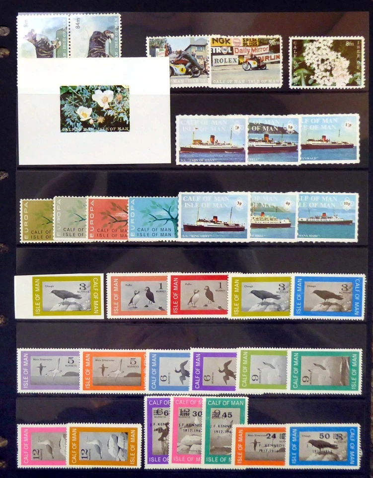 GB Isle of MAN-Calf on MAN Locals U/M GT884 - Image 1 of 1