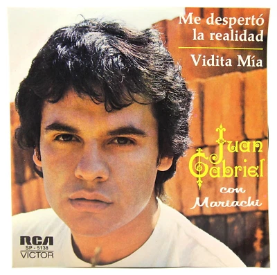 Juan Gabriel – "Me Despertó La Realidad / Vidita Mia" MEXICO  1979 -  7" - 45RPM - Image 1 of 4