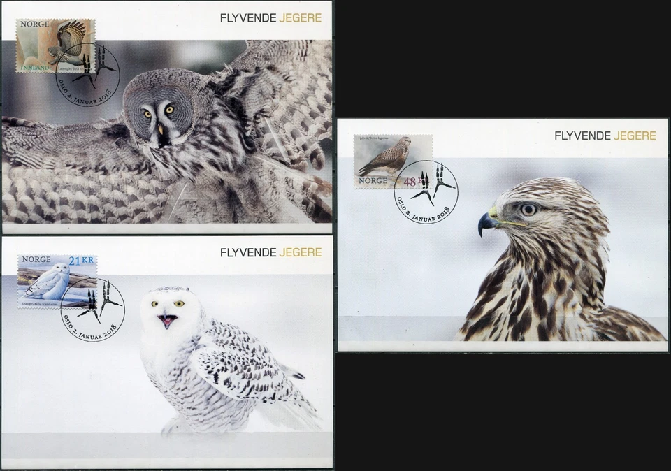 Noruega 2018 Pájaros (Juego Maxi Cartas. Мint) Foto 1 de 1