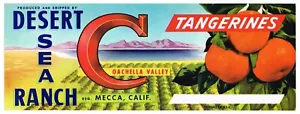 ETIQUETA DE CAJA ORIGINAL VINTAGE C1950 MECCA COACHELLA VALLEY SALTON SEA CITRUS - Imagen 1 de 1
