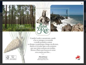 Portugal 2024 Vistas del Bosque Nacional Pinhal do Rei pinos triturados único MS - Imagen 1 de 3