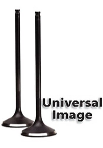 YAMAHA SR185 BW200 TW200 XT200 XT225 TTR225 TTR230 XT250 ENGINE VALVES - Image 1 of 1