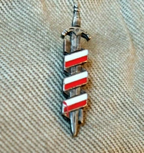 Poland Polish AK ARMIA KRAJOWA Badge WW2 WWII PIN Sword with the Polish flag - Picture 1 of 2