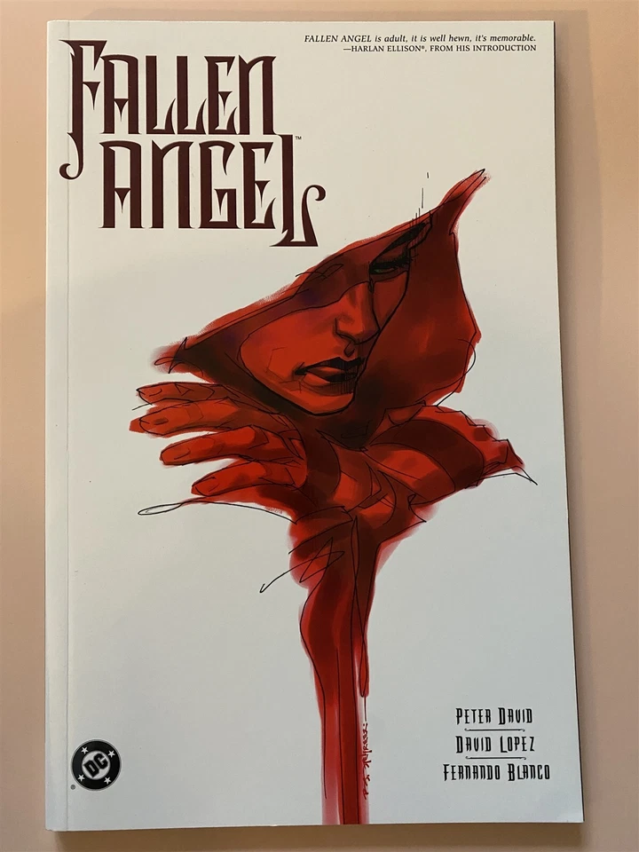 FALLEN ANGELS Vol. 1 Peter David DC Comics TP TPB NM 2004 Foto 1 de 1