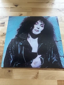 CHER~SELF TITLED VINYL LP ALBUM~ORIGINAL 1987 GEFFEN RECORDS GHS 24164~EX+/VG+ - Picture 1 of 6