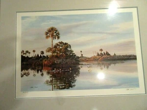 CHARLES ROWE PRINT 260/675 FLORIDA FAUNA SELVATICA PAESAGGISTA opaca e incorniciata - Foto 1 di 8