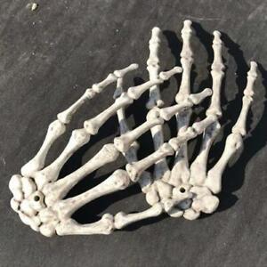 Squelette crâne d'Halloween main humaine os zombie fête terreur adulte accessoires effrayants !