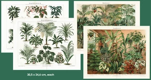 Silkworms and Silk Farming 2 Antique Choromo Lithographs from c. 1900 - Picture 1 of 7