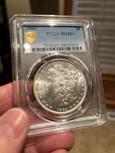 1884 Morgan Dollar MS-65+ !!!! - Picture 1 of 4