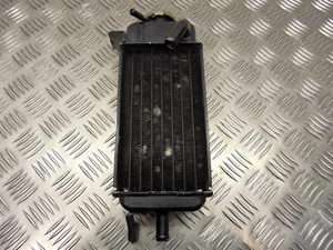 Radiador y tapa de relleno Honda CRM 50 RR 1992 a 1998 - Imagen 1 de 10