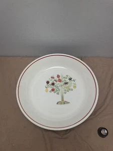 stoviglierie 13 1/4" Pasta Bowl (HUGE) - Picture 1 of 18