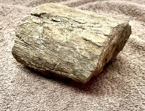 Petrified Wood Fossil from Moon Plains Coober Pedy 140-180M Years - Jurassic Age - Picture 1 of 5
