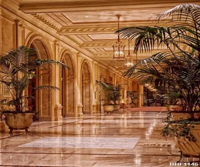 Huayi Grand Palace Corridor Tree Microfiber Fabric Backdrop Background BHF1146 - Image 1 of 4