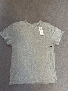 HOLLISTER Men’s S/S T-Shirt Size Medium Grey - BNWT - Picture 1 of 1
