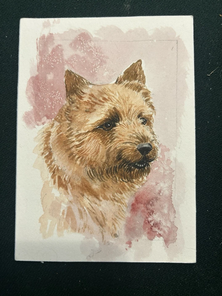 Pintura acuarela original Norwich a bordo de Van Loan Foto 1 de 1